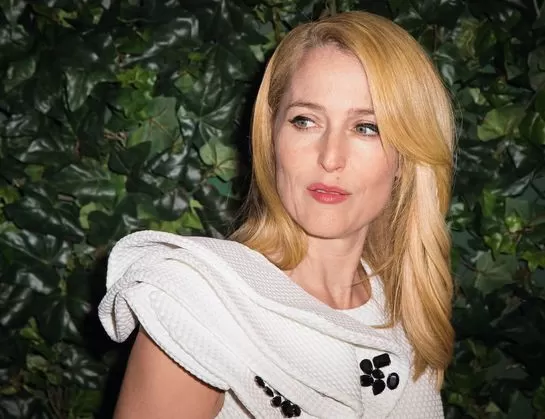 Gillian Anderson: A médica séria do FBI foi uma anarquista na adolescência e namorou mulher 1 Gillian Anderson: A médica séria do FBI foi uma anarquista na adolescência e namorou mulher